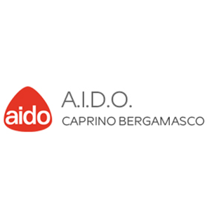 AIDO
